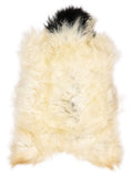 Icelandic multicolour sheepskin rug of about 120 × 70 cm, seen from above: the exact sheepskin you receive