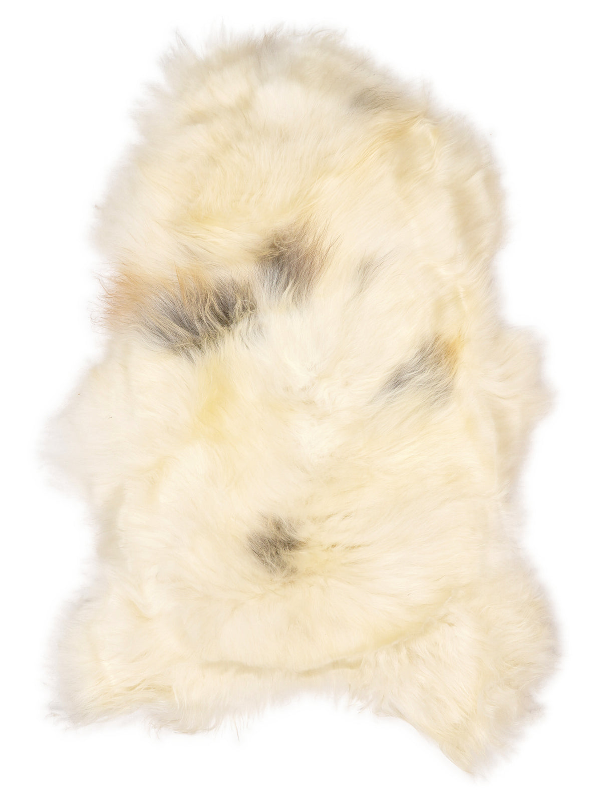 Icelandic multicolour sheepskin rug of about 120 × 75 cm, seen from above: the exact sheepskin you receive