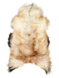 Icelandic multicolour sheepskin rug of about 125 × 70 cm, seen from above: the exact sheepskin you receive