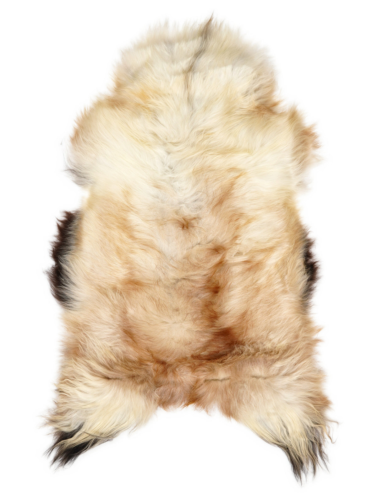 Icelandic multicolour sheepskin rug of about 125 × 70 cm, seen from above: the exact sheepskin you receive