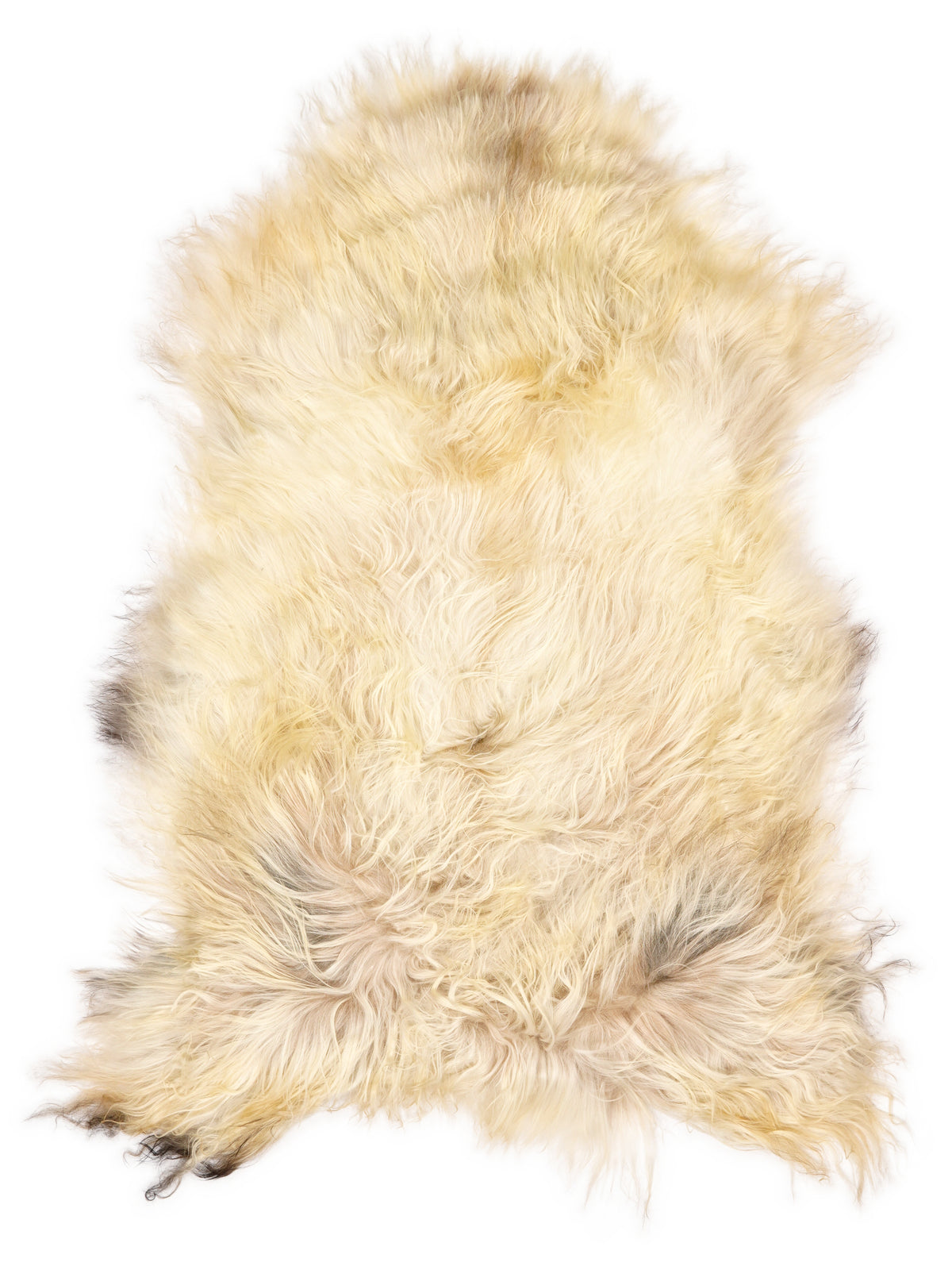 Icelandic multicolour sheepskin rug of about 120 × 80 cm, seen from above: the exact sheepskin you receive