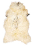 Icelandic multicolour sheepskin rug of about 130 × 75 cm, seen from above: the exact sheepskin you receive