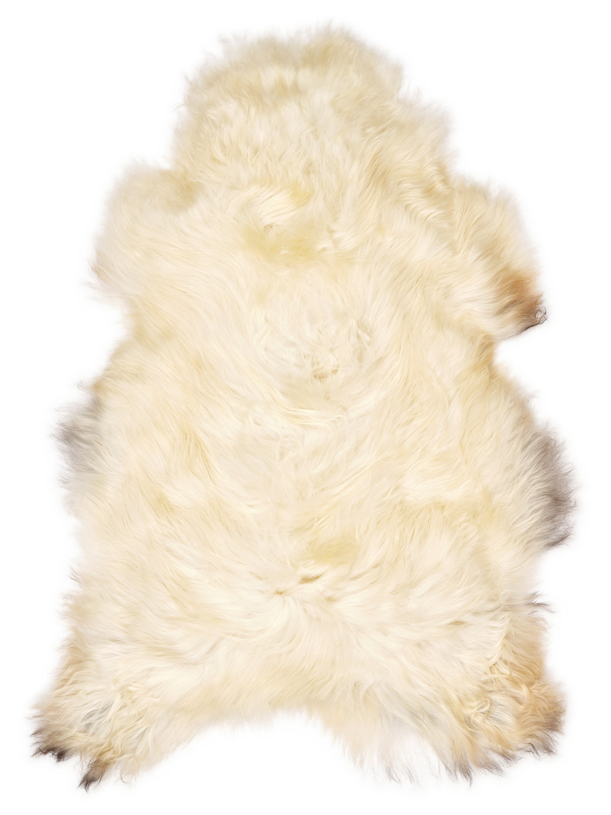 Icelandic multicolour sheepskin rug of about 120 × 75 cm, seen from above: the exact sheepskin you receive