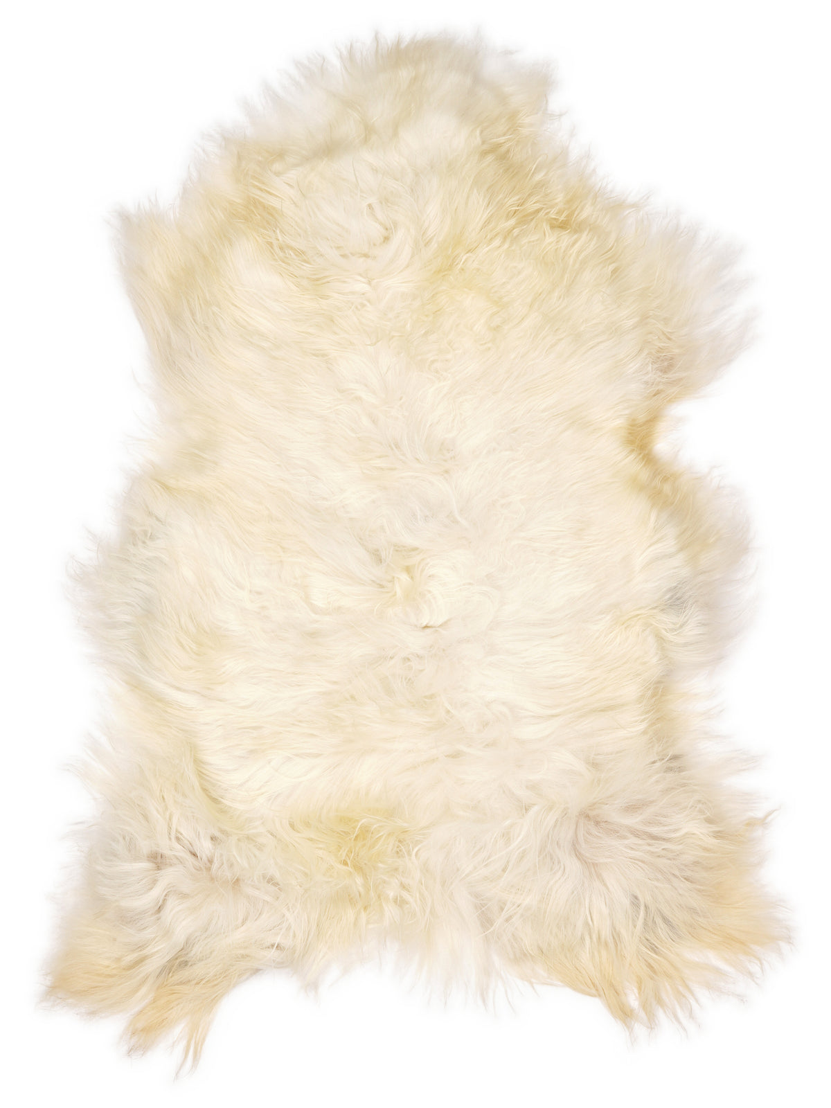 Icelandic multicolour sheepskin rug of about 130 × 80 cm, seen from above: the exact sheepskin you receive