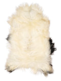 Icelandic multicolour sheepskin rug of about 120 × 70 cm, seen from above: the exact sheepskin you receive