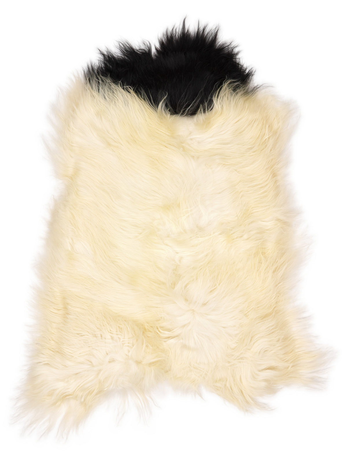 Icelandic multicolour sheepskin rug of about 110 × 70 cm, seen from above: the exact sheepskin you receive