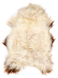 Icelandic multicolour sheepskin rug of about 120 × 80 cm, seen from above: the exact sheepskin you receive