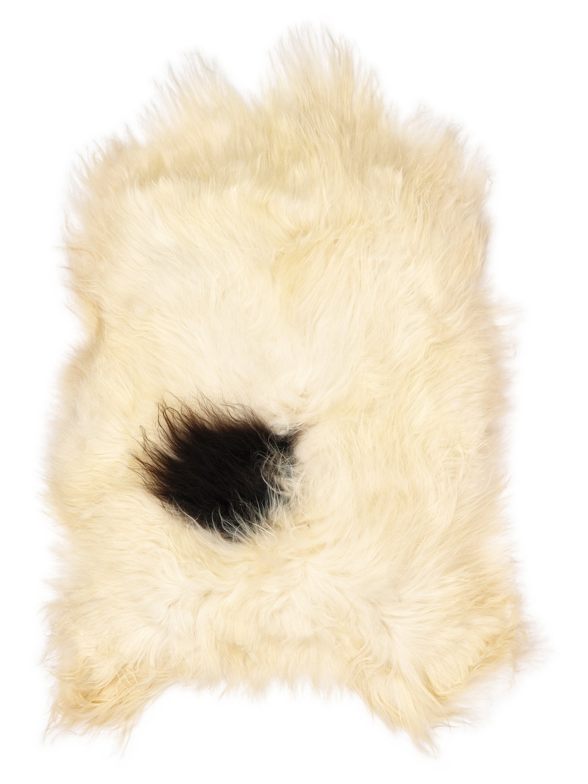 Icelandic multicolour sheepskin rug of about 110 × 75 cm, seen from above: the exact sheepskin you receive