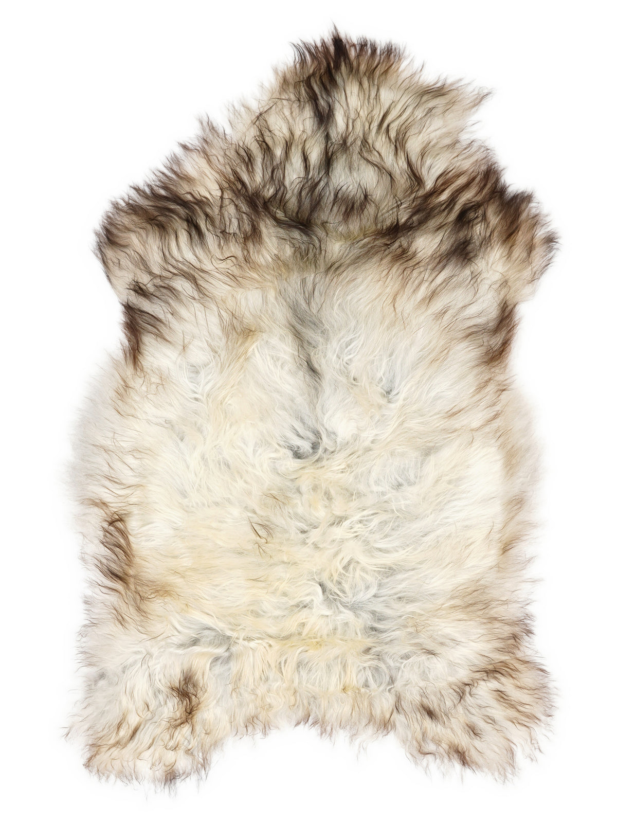 Grey Icelandic sheepskin rug of about 110 × 70 cm, seen from above: the exact sheepskin you receive
