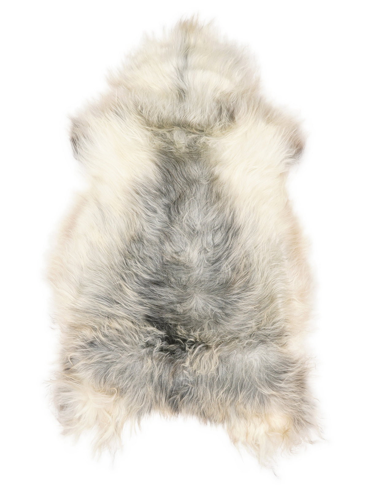 Grey Icelandic sheepskin rug of about 120 × 70 cm, seen from above: the exact sheepskin you receive