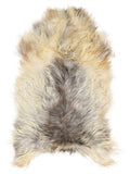 Grey Icelandic sheepskin rug of about 120 × 70 cm, seen from above: the exact sheepskin you receive