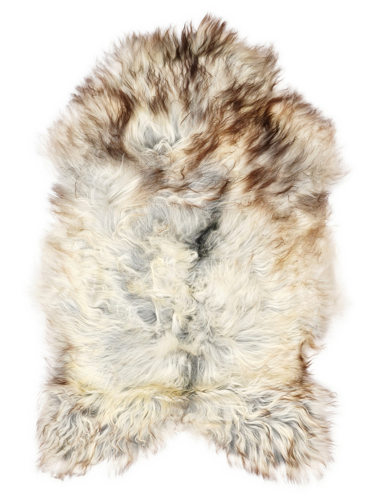 Grey Icelandic sheepskin rug of about 120 × 75 cm, seen from above: the exact sheepskin you receive