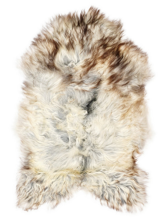 Grey Icelandic sheepskin rug of about 120 × 75 cm, seen from above: the exact sheepskin you receive