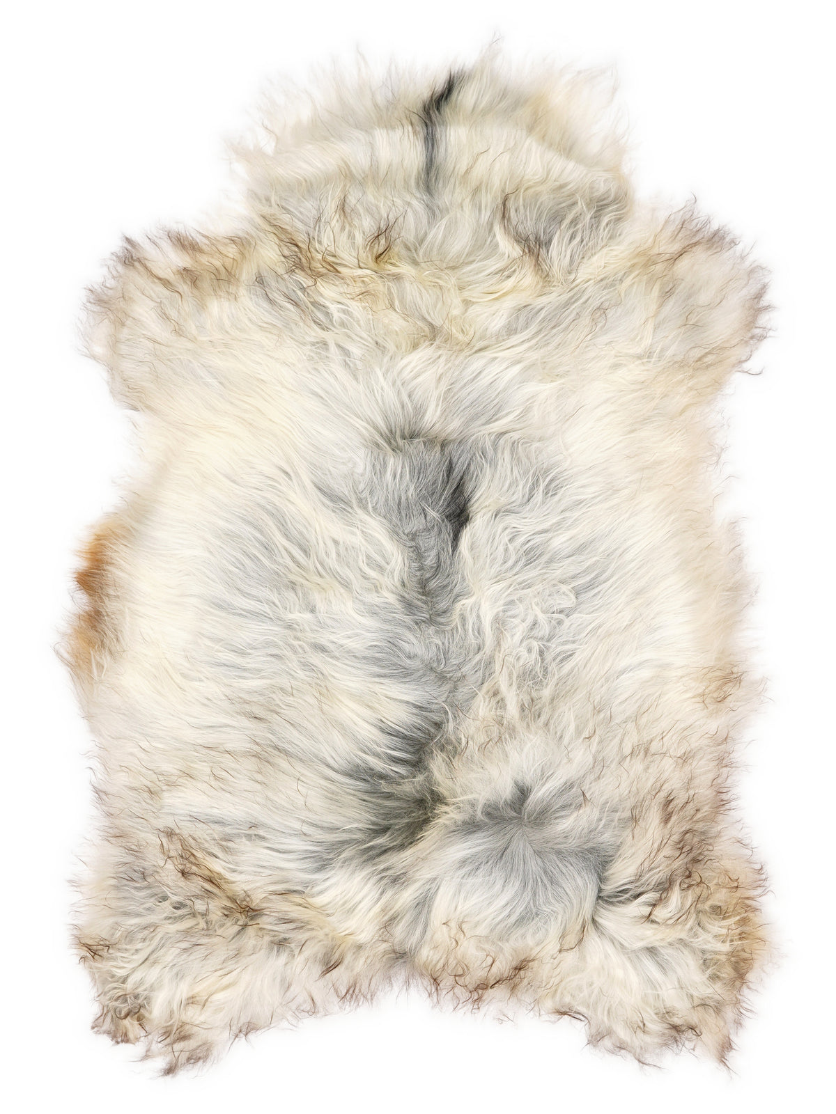 Grey Icelandic sheepskin rug of about 110 × 70 cm, seen from above: the exact sheepskin you receive