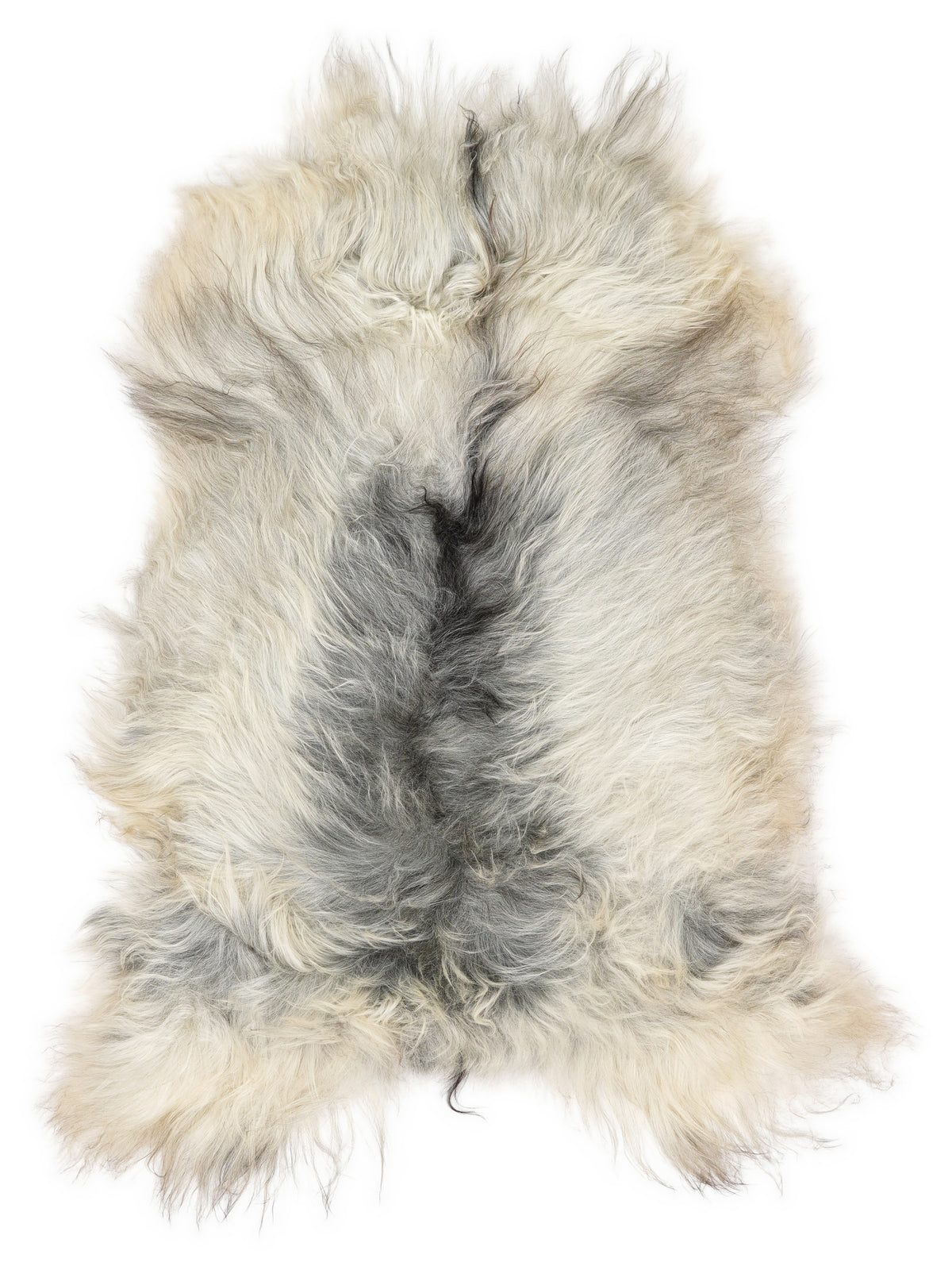 Grey Icelandic sheepskin rug of about 120 × 75 cm, seen from above: the exact sheepskin you receive