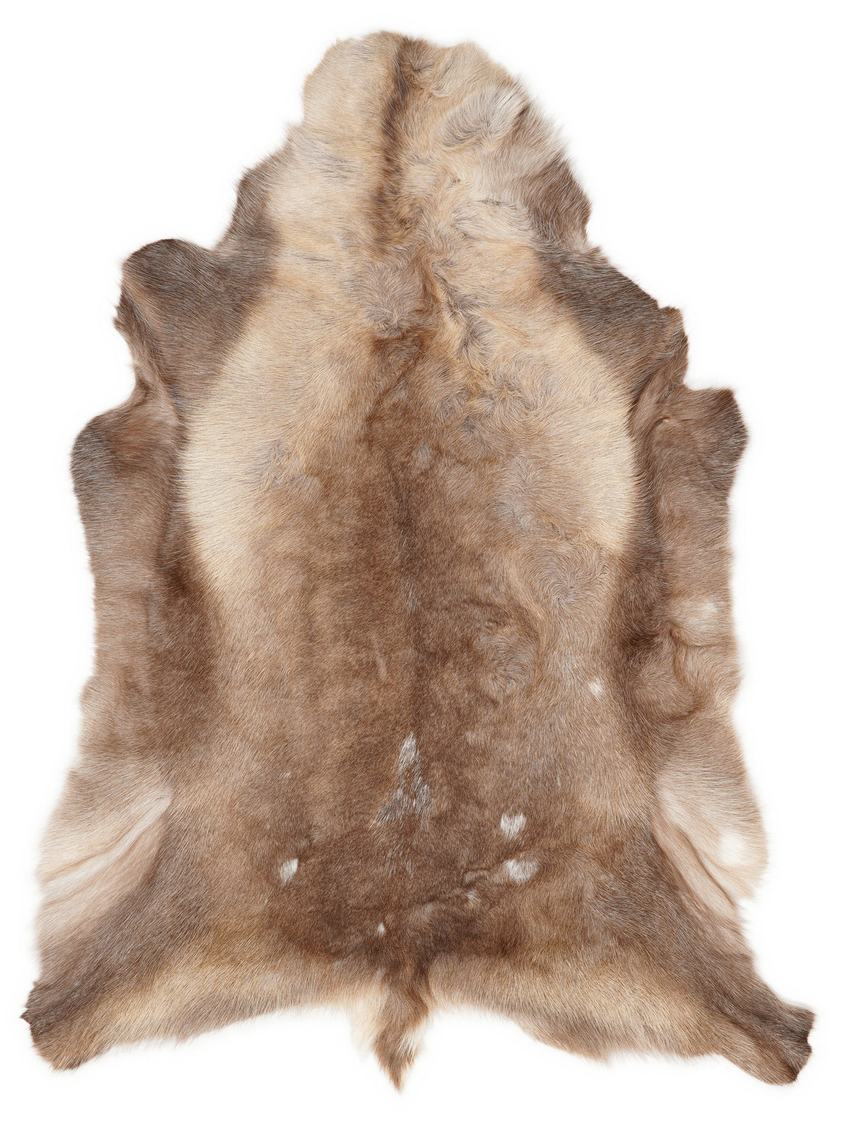 Reindeer hide of about 120 × 100 cm, seen from above: the exact hide you receive