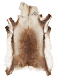 Reindeer hide of about 150 × 130 cm, seen from above: the exact hide you receive