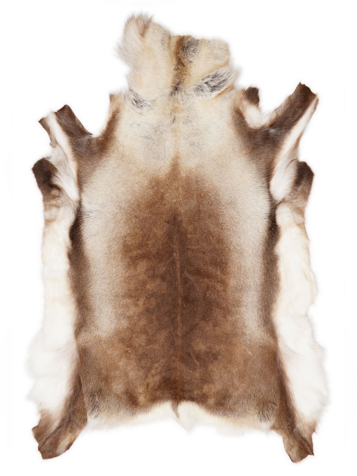 Reindeer hide of about 150 × 130 cm, seen from above: the exact hide you receive