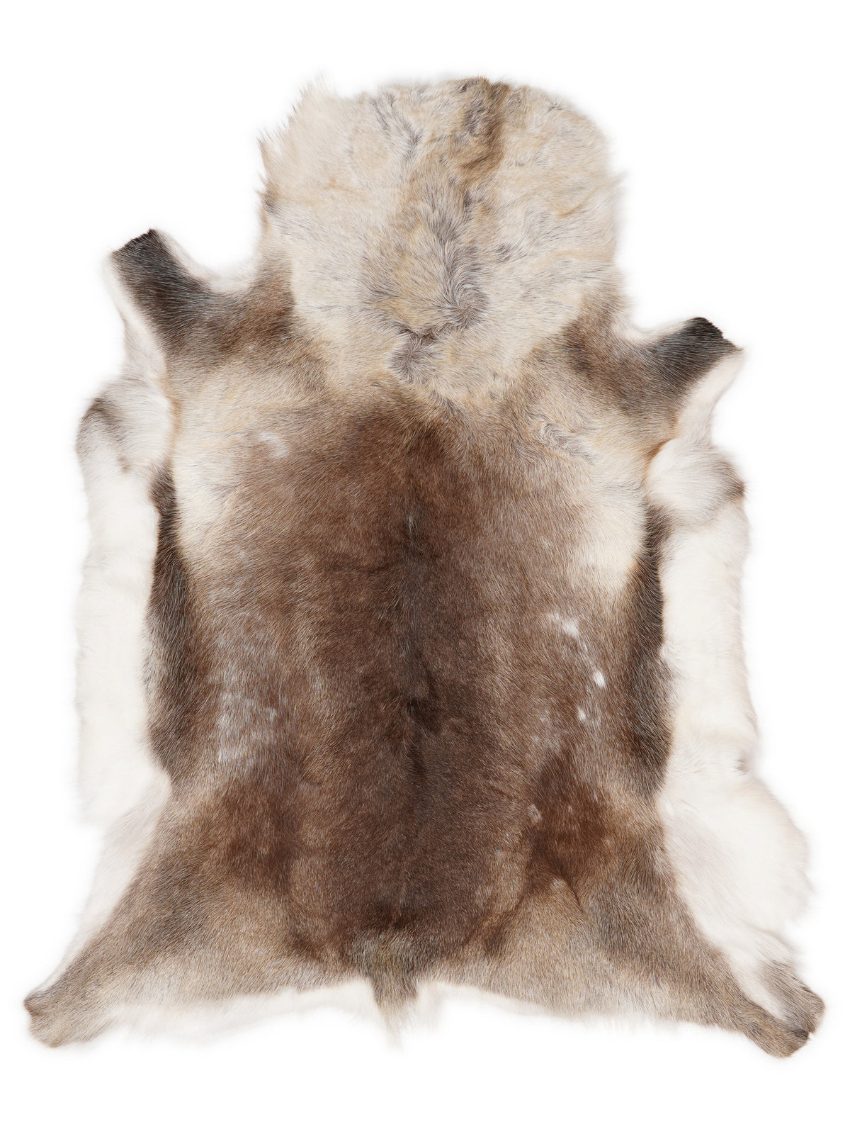 Reindeer hide of about 120 × 100 cm, seen from above: the exact hide you receive