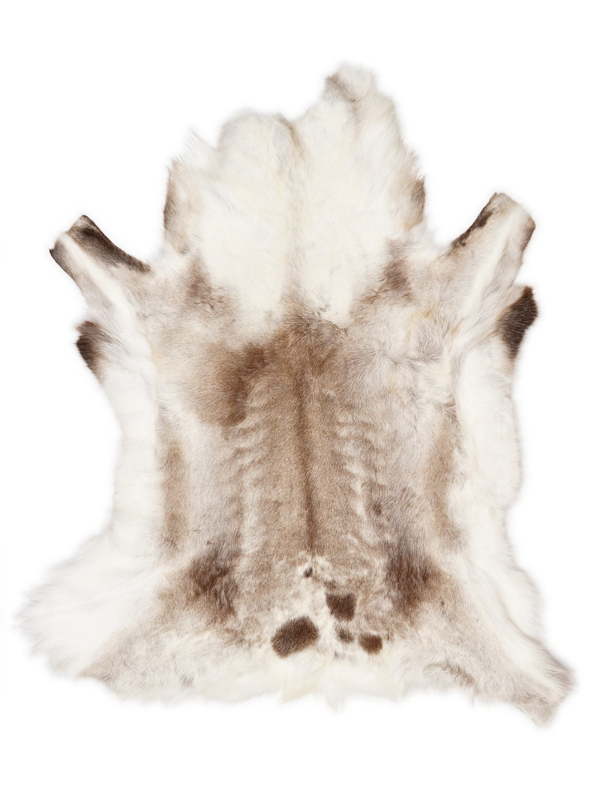 Reindeer hide of about 130 × 110 cm, seen from above: the exact hide you receive