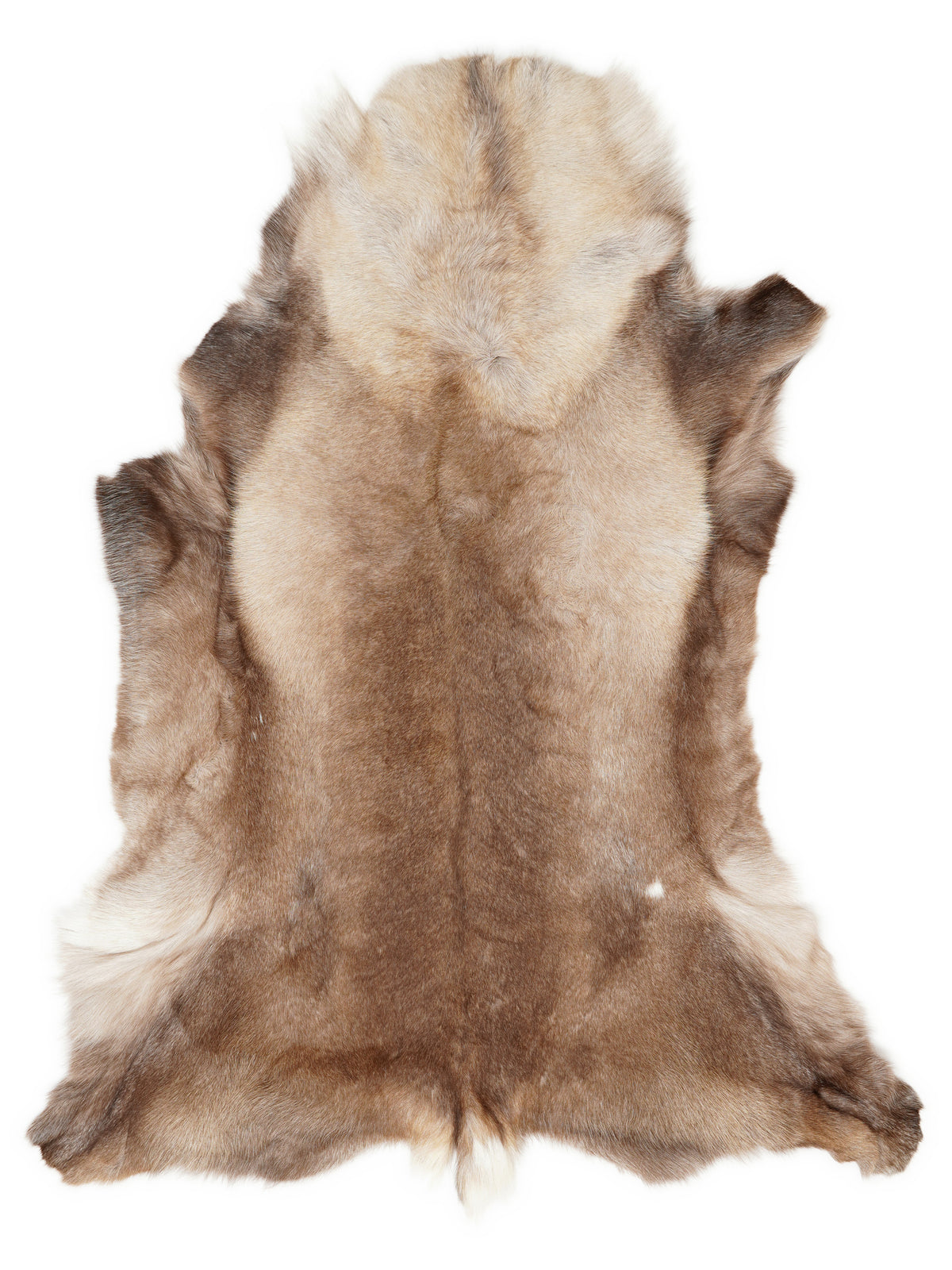 Reindeer hide of about 140 × 110 cm, seen from above: the exact hide you receive