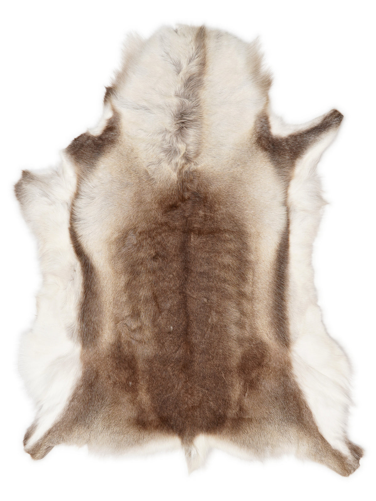 Reindeer hide of about 130 × 100 cm, seen from above: the exact hide you receive