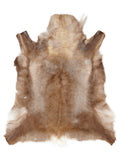 Reindeer hide of about 120 × 110 cm, seen from above: the exact hide you receive