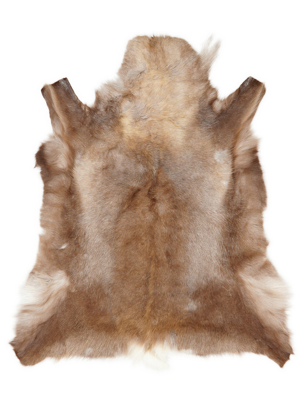 Reindeer hide of about 120 × 110 cm, seen from above: the exact hide you receive