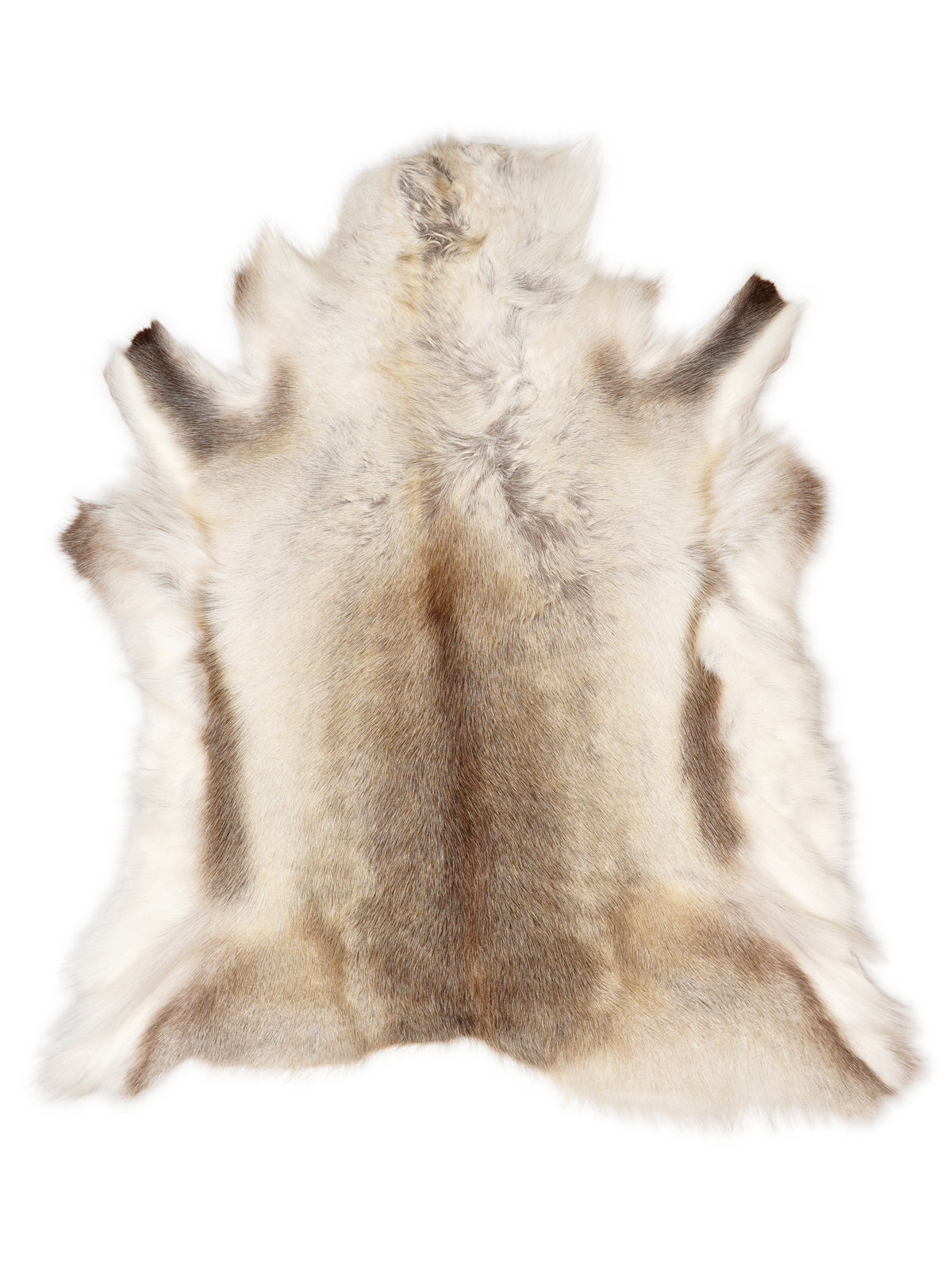 Reindeer hide of about 100 × 100 cm, seen from above: the exact hide you receive