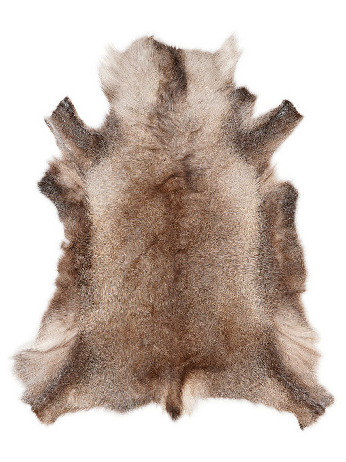 Reindeer hide of about 110 × 90 cm, seen from above: the exact hide you receive