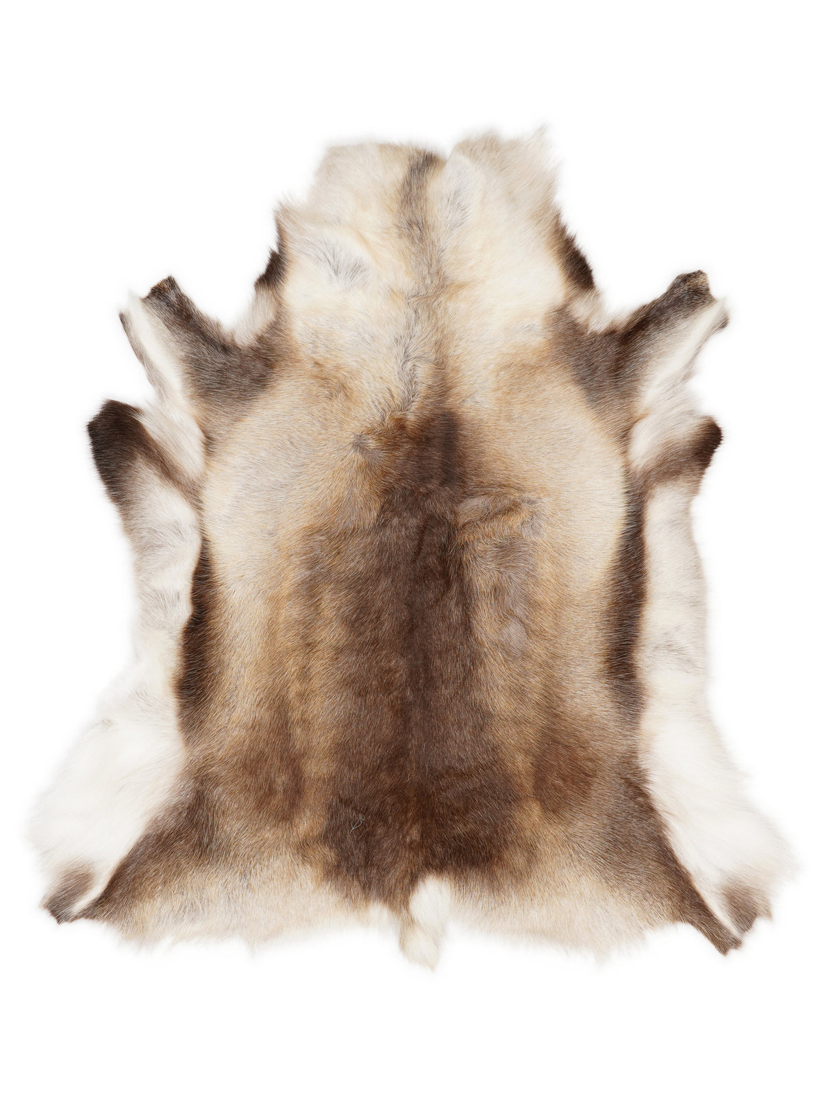 Reindeer hide of about 120 × 105 cm, seen from above: the exact hide you receive
