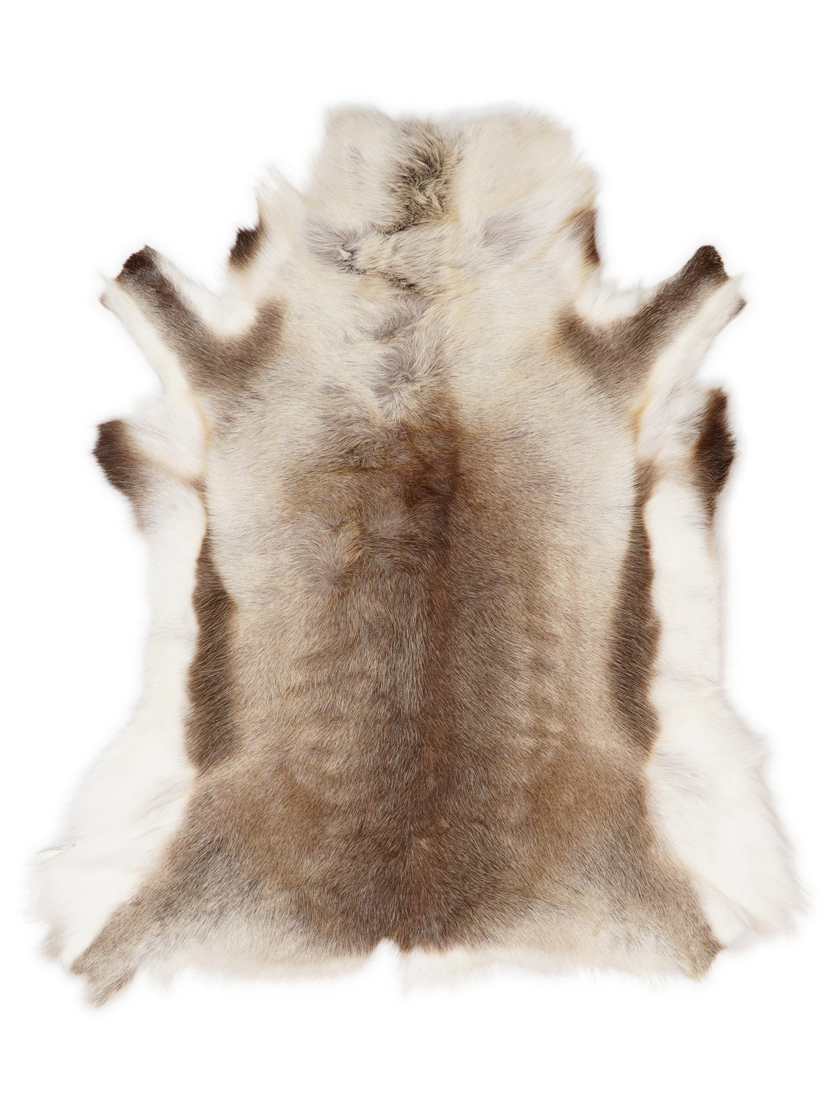 Reindeer hide of about 115 × 100 cm, seen from above: the exact hide you receive