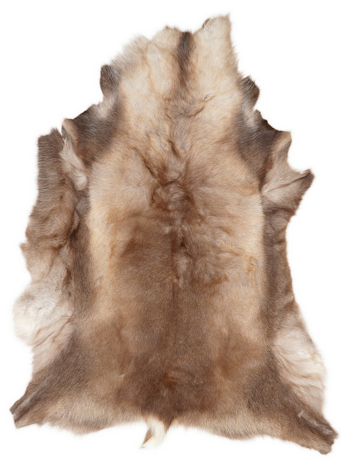 Reindeer hide of about 130 × 100 cm, seen from above: the exact hide you receive