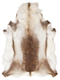 Reindeer hide of about 160 × 120 cm, seen from above: the exact hide you receive