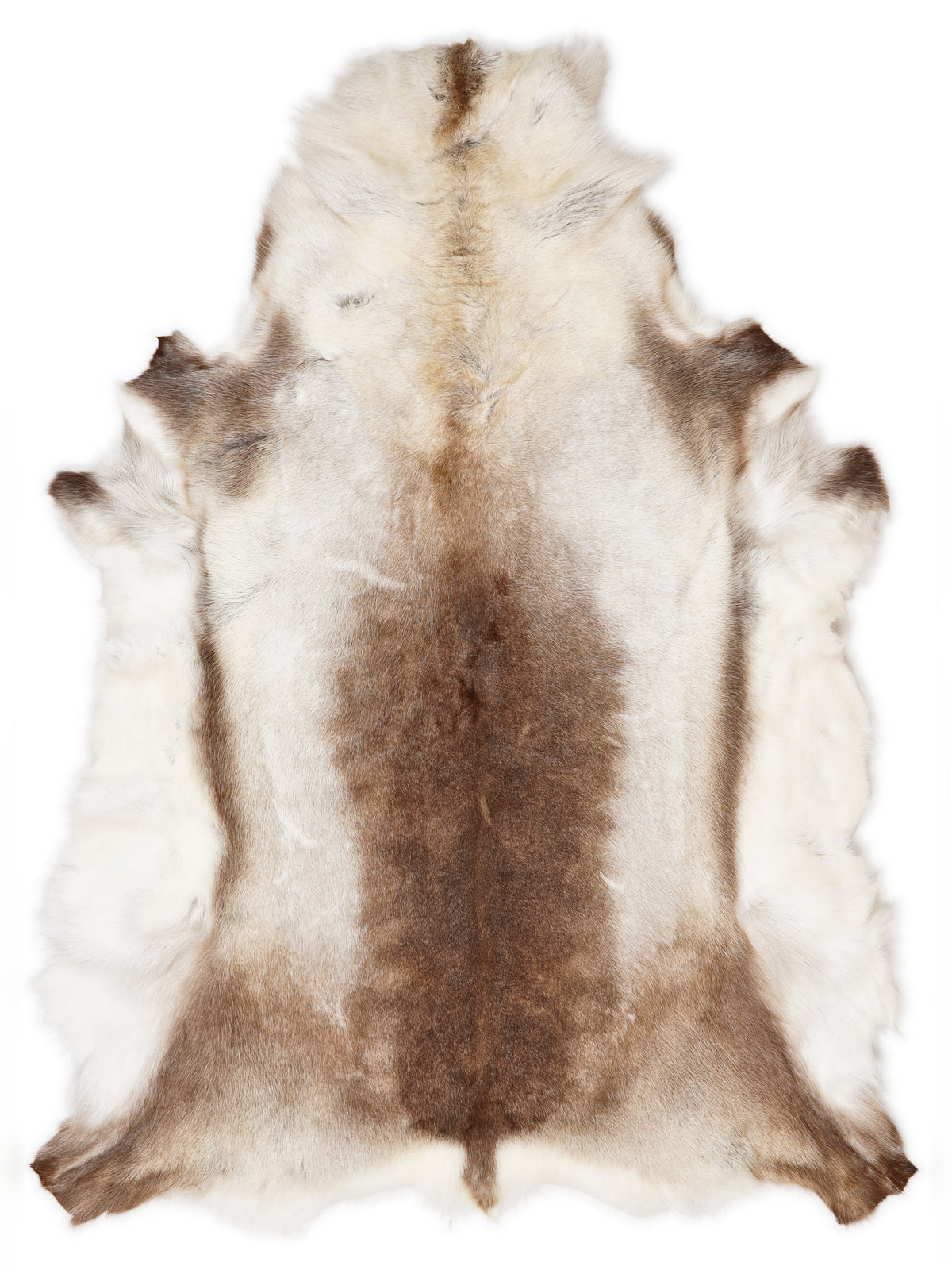 Reindeer hide of about 160 × 120 cm, seen from above: the exact hide you receive
