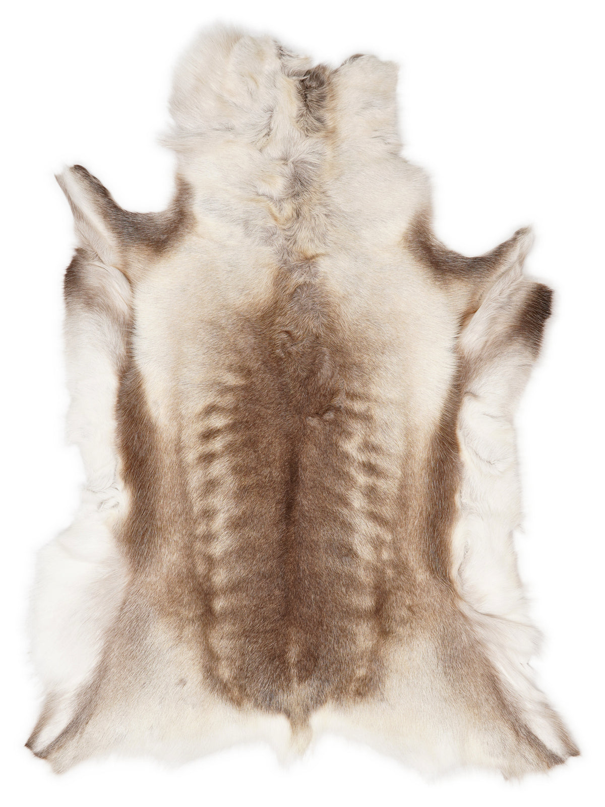 Reindeer hide of about 120 × 95 cm, seen from above: the exact hide you receive