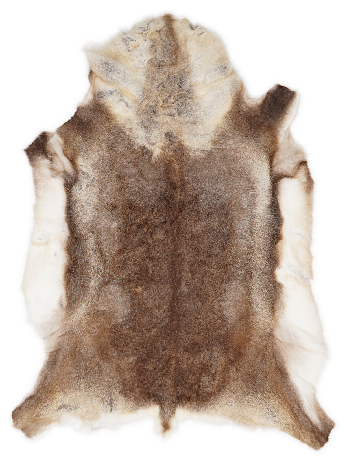 Reindeer hide of about 140 × 105 cm, seen from above: the exact hide you receive