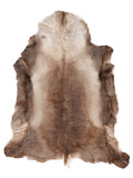 Reindeer hide of about 140 × 115 cm, seen from above: the exact hide you receive