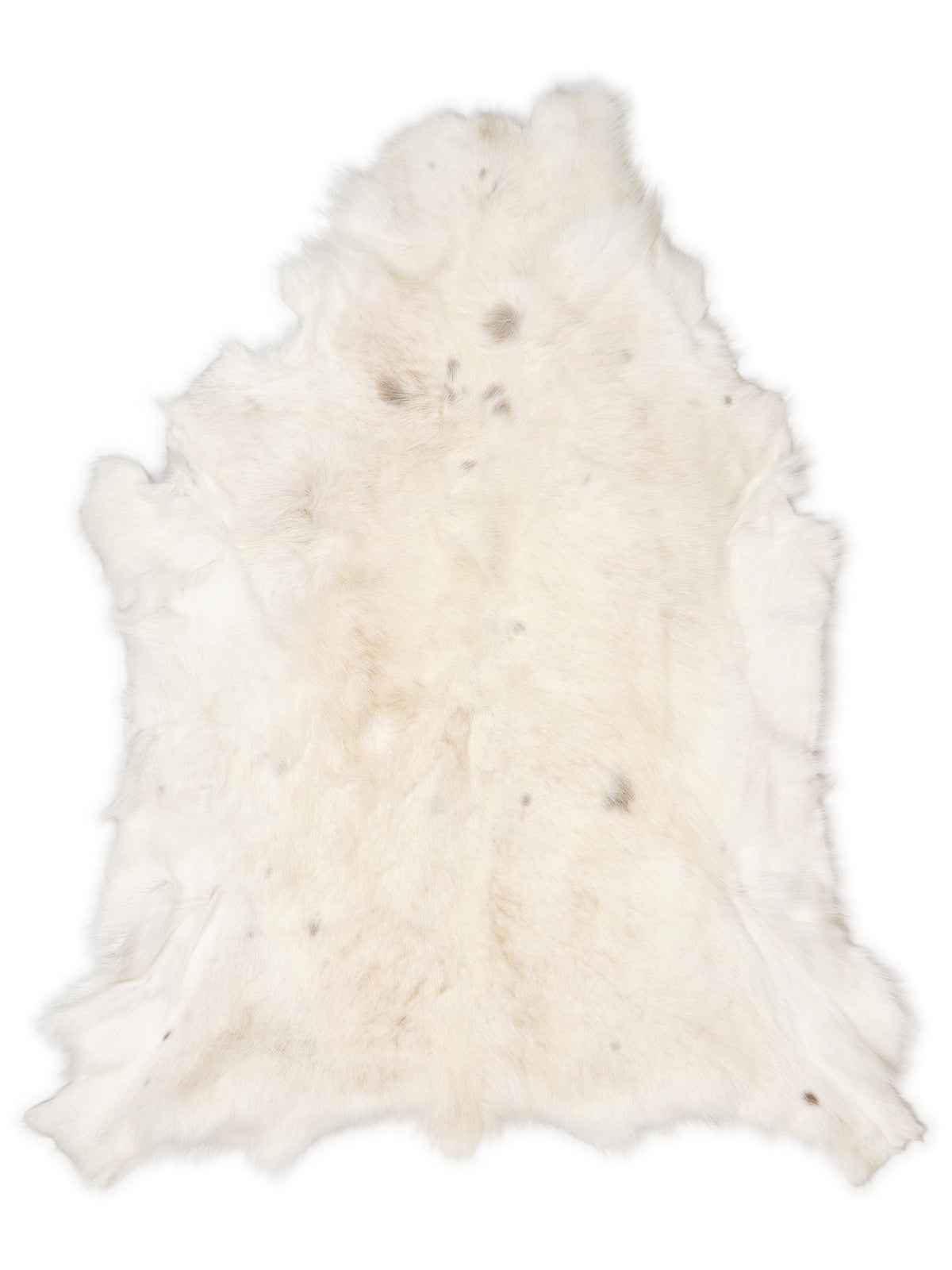 Reindeer hide of about 120 × 100 cm, seen from above: the exact hide you receive