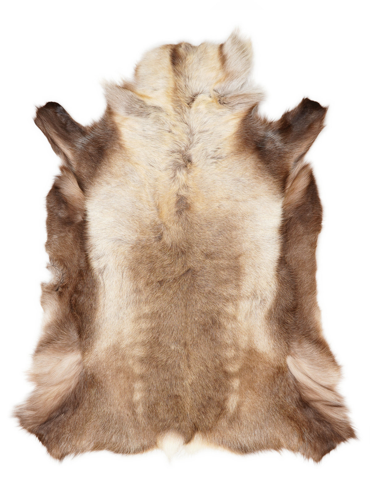 Reindeer hide of about 140 × 110 cm, seen from above: the exact hide you receive