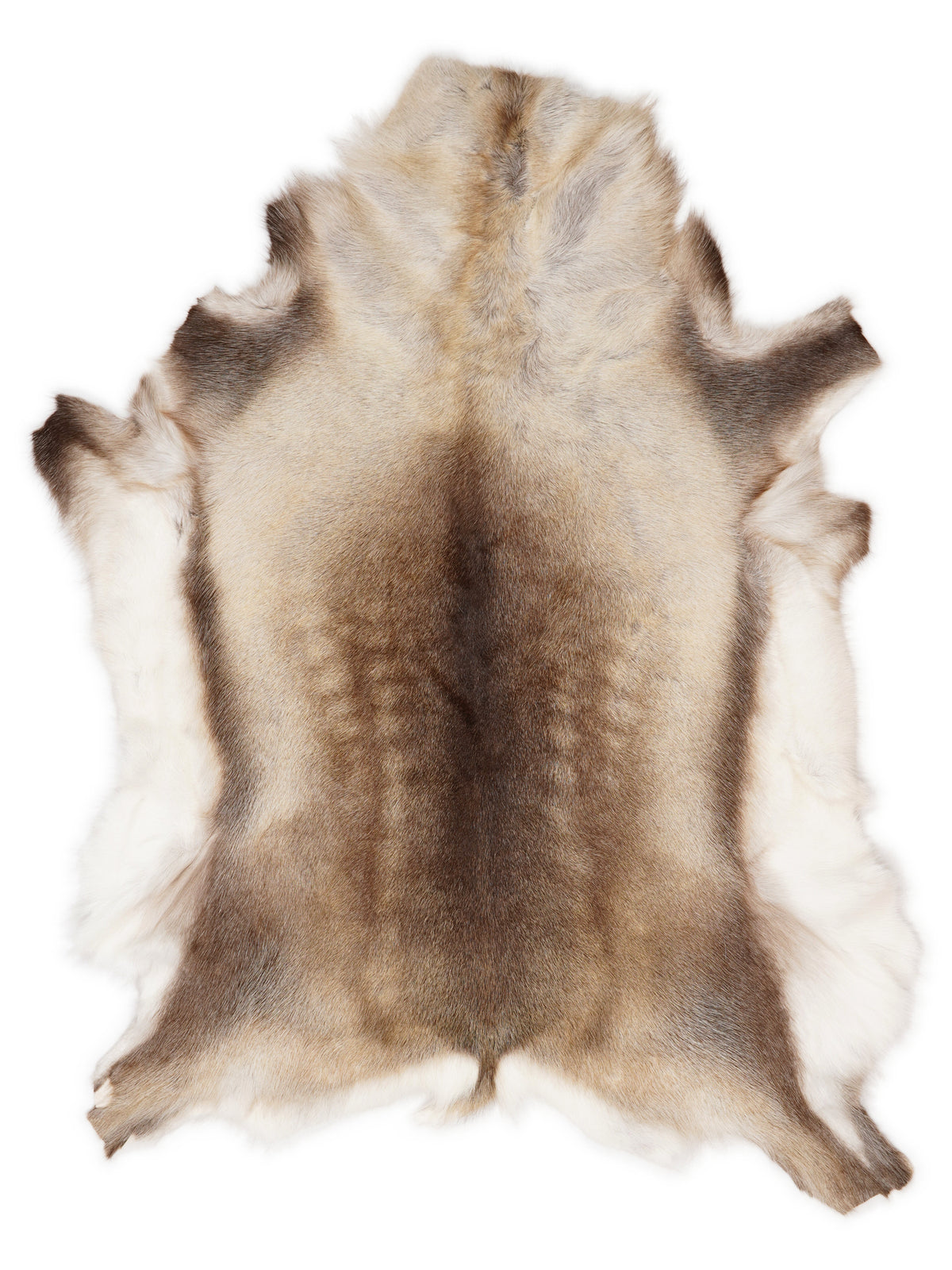 Reindeer hide of about 120 × 95 cm, seen from above: the exact hide you receive