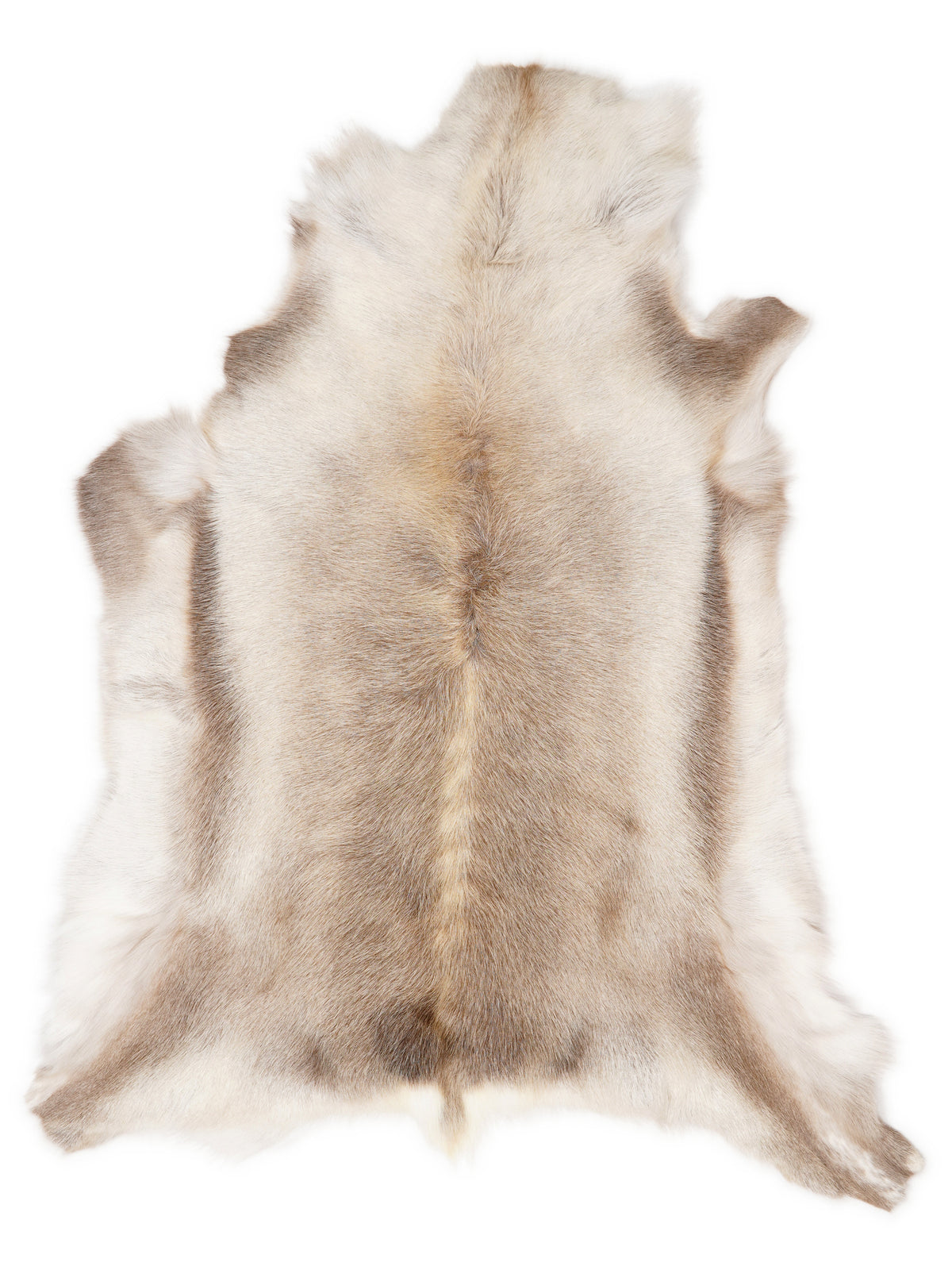Reindeer hide of about 130 × 110 cm, seen from above: the exact hide you receive