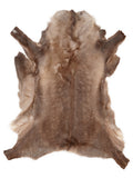 Reindeer hide of about 110 × 100 cm, seen from above: the exact hide you receive