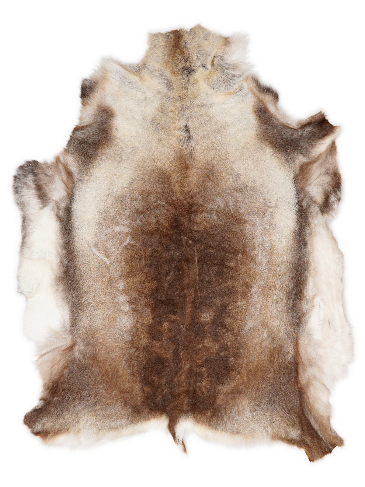 Reindeer hide of about 140 × 105 cm, seen from above: the exact hide you receive