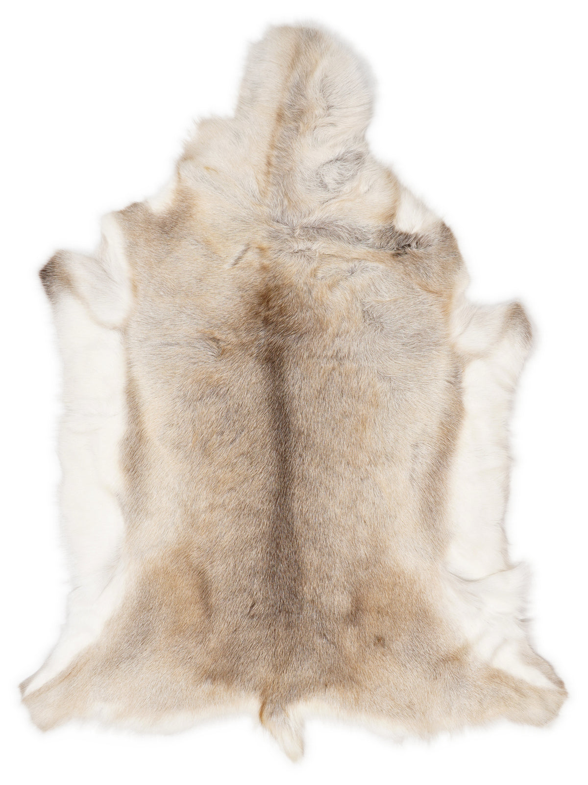 Reindeer hide of about 130 × 100 cm, seen from above: the exact hide you receive
