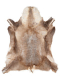 Reindeer hide of about 130 × 115 cm, seen from above: the exact hide you receive