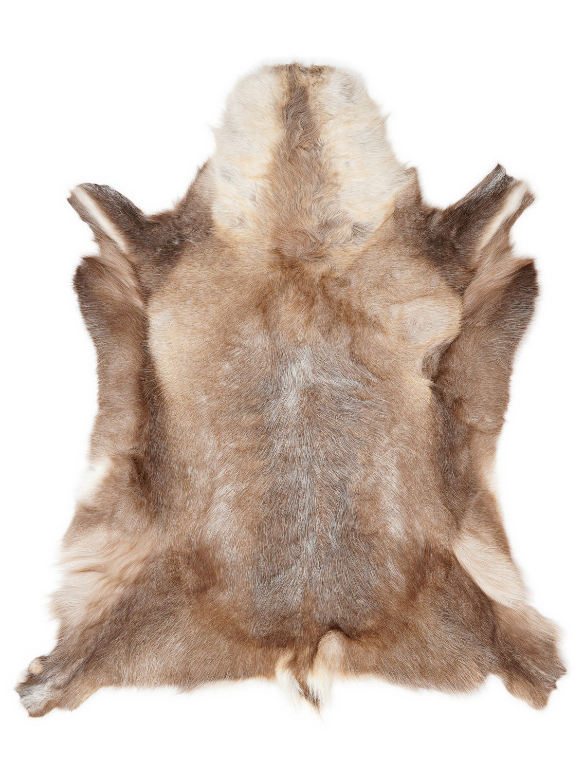 Reindeer hide of about 130 × 115 cm, seen from above: the exact hide you receive