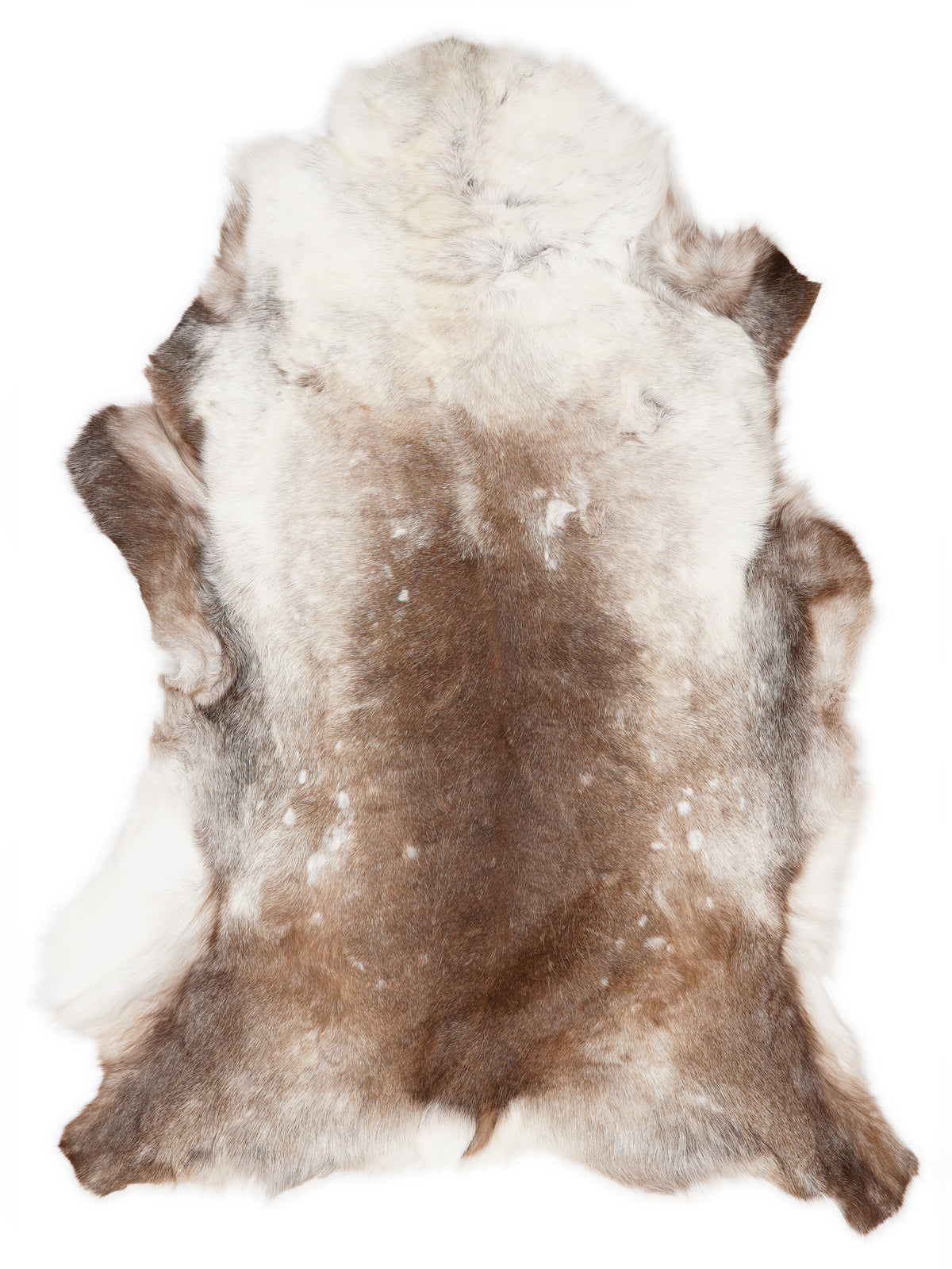 Reindeer hide of about 155 × 120 cm, seen from above: the exact hide you receive