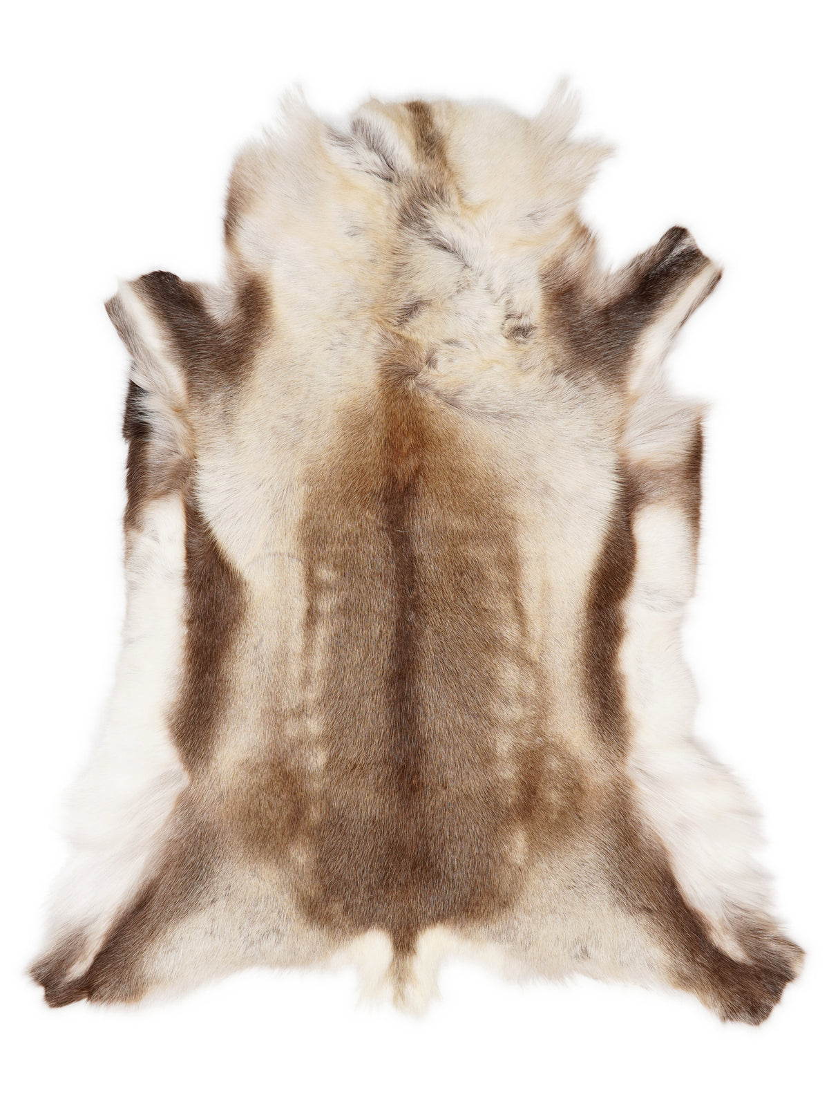 Reindeer hide of about 120 × 100 cm, seen from above: the exact hide you receive