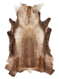 Reindeer hide of about 150 × 135 cm, seen from above: the exact hide you receive